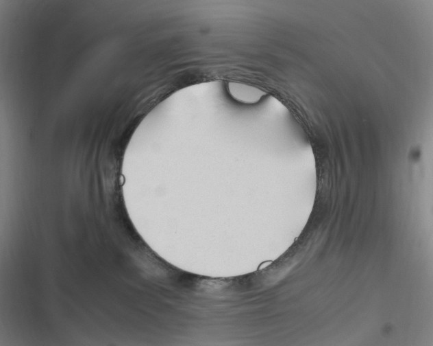 X0000116680139201001251308