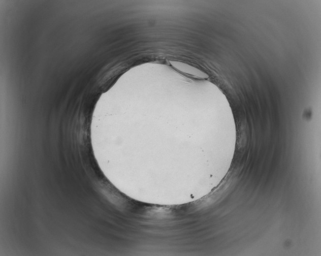 X0000116680140201001251308