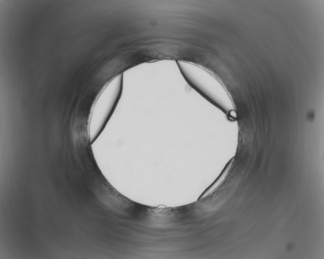 X0000116680141201001251308