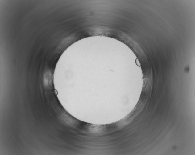 X0000116680142201001251308