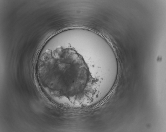 X0000116680145201001251307