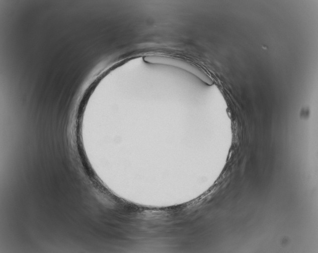 X0000116680150201001251307