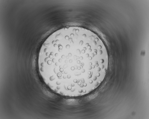 X0000116680153201001251307