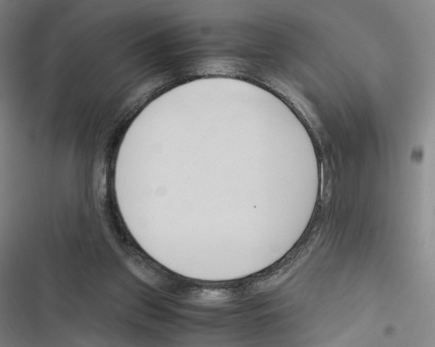 X0000116680157201001251307