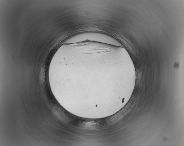 X0000116680158201001251307