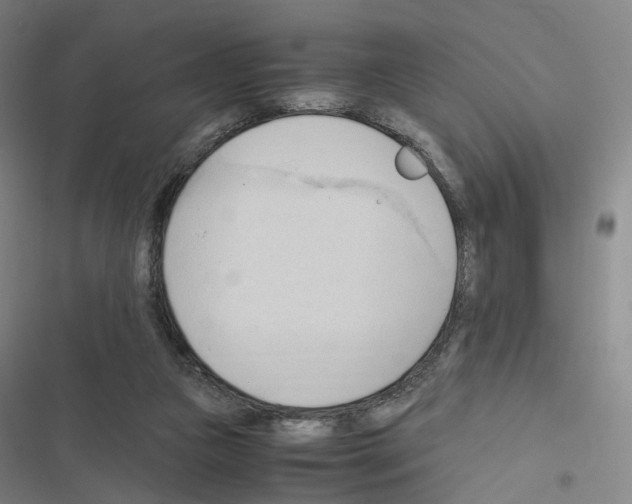 X0000116680161201001251307