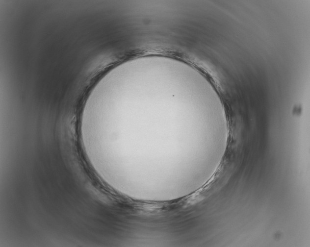 X0000116680162201001251307