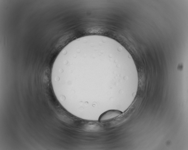 X0000116680175201001251307