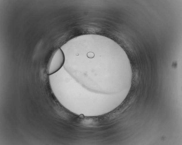 X0000116680177201001251307