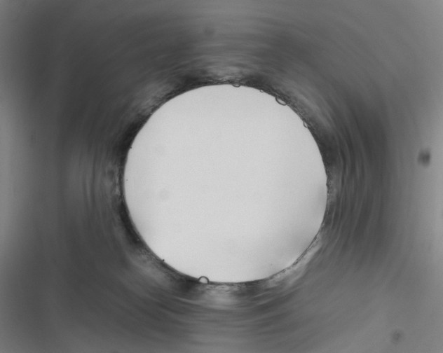 X0000116680182201001251308