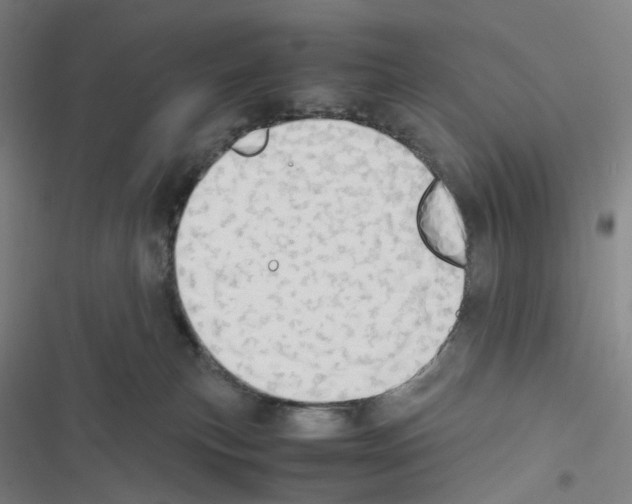 X0000116680183201001251308