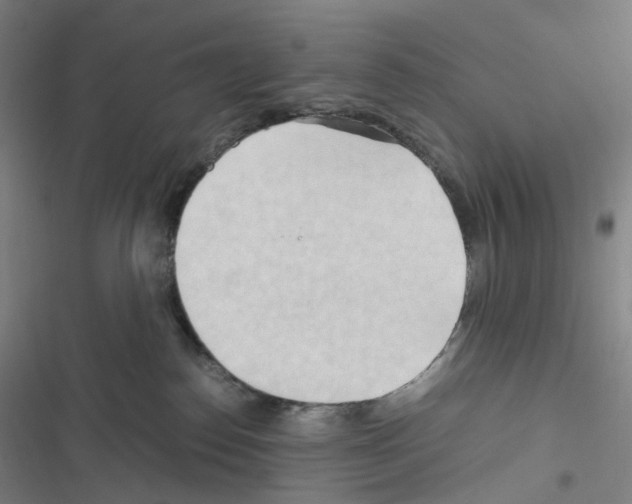 X0000116680186201001251308