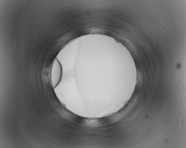 X0000116680189201001251308