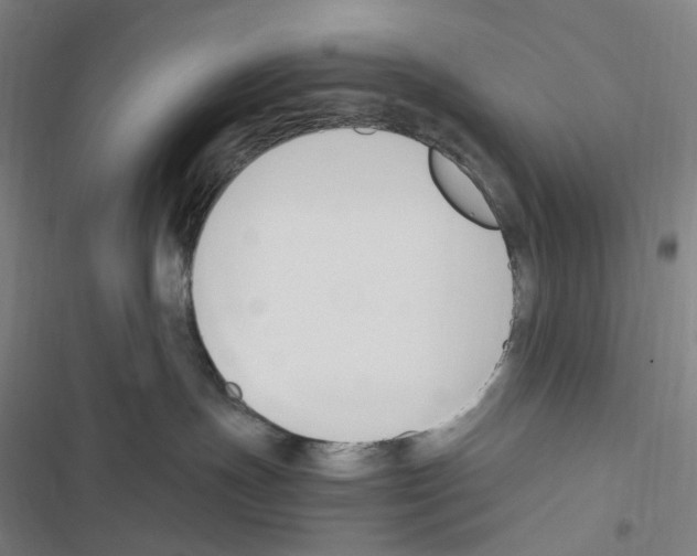 X0000116680191201001251308