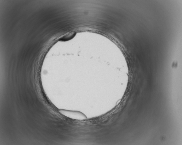 X0000116680193201001251307