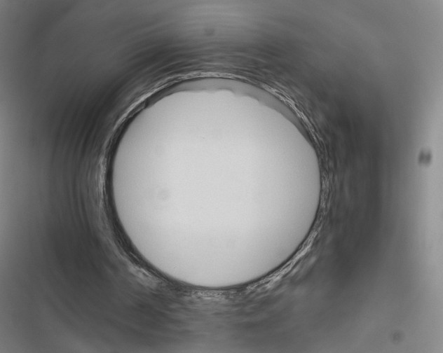 X0000116680194201001251307