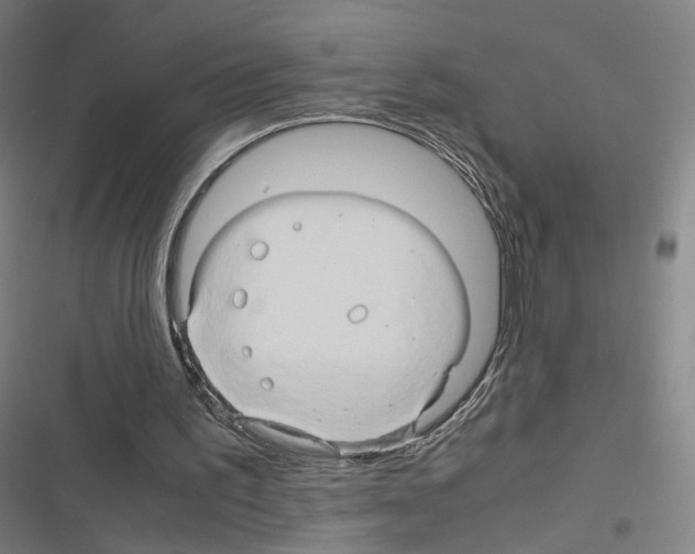 X0000116680195201001251307