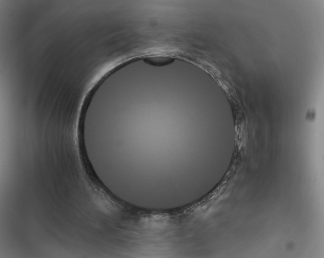 X0000116680196201001251307