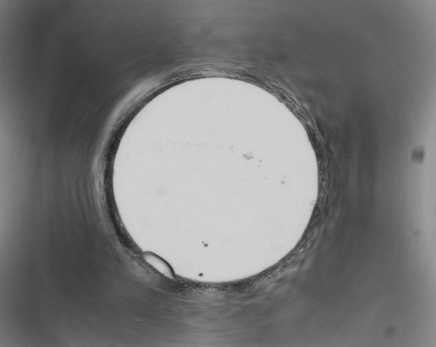 X0000116680197201001251307