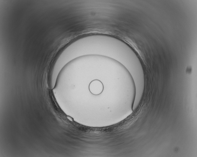 X0000116680205201001251307