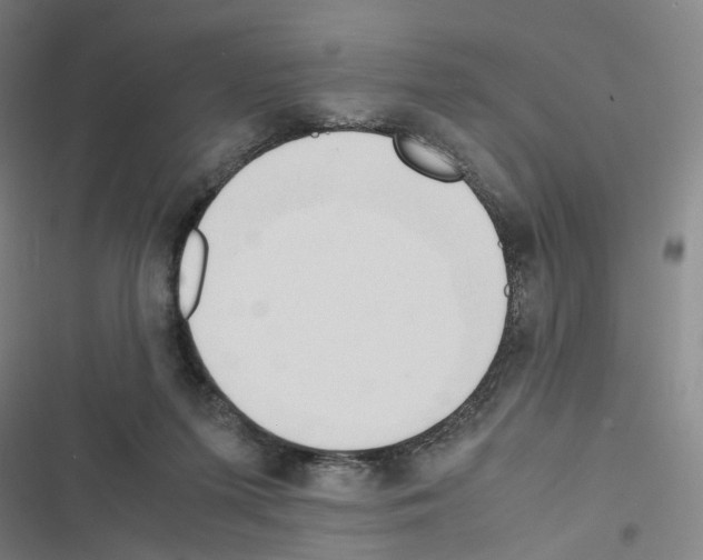 X0000116680215201001251307