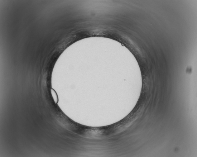 X0000116680217201001251307