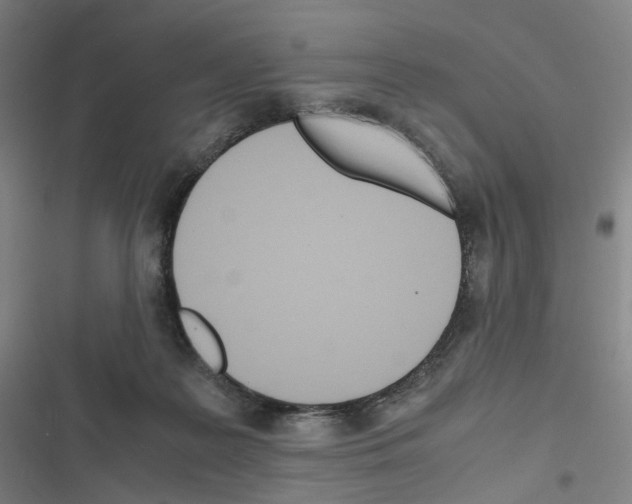 X0000116680219201001251307