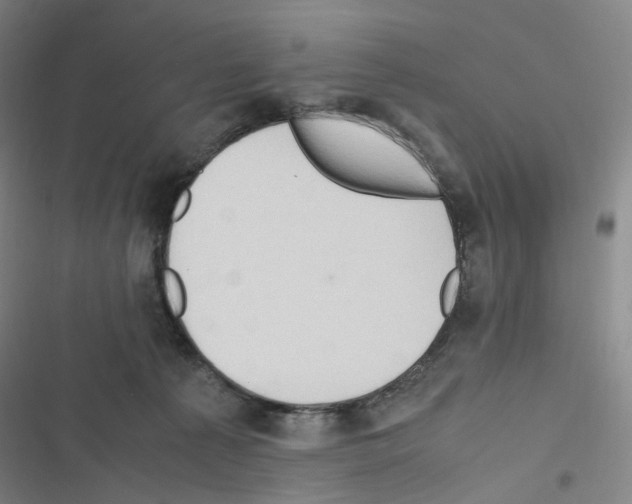 X0000116680225201001251307