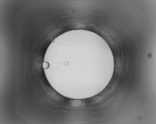 X0000116680230201001251306