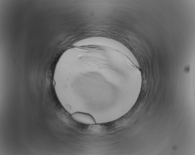 X0000116680231201001251306