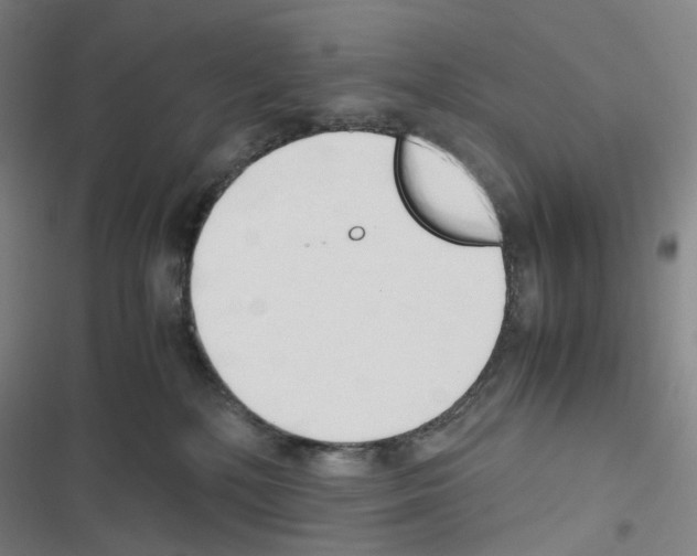 X0000116680232201001251306