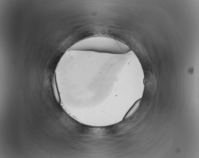 X0000116680233201001251306