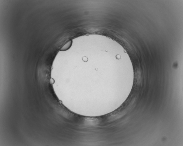 X0000116680234201001251306