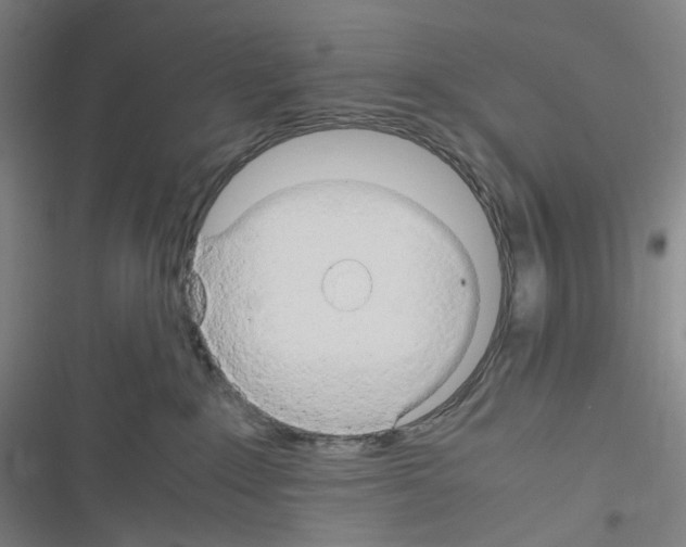 X0000116680235201001251306