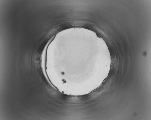 X0000116680237201001251306