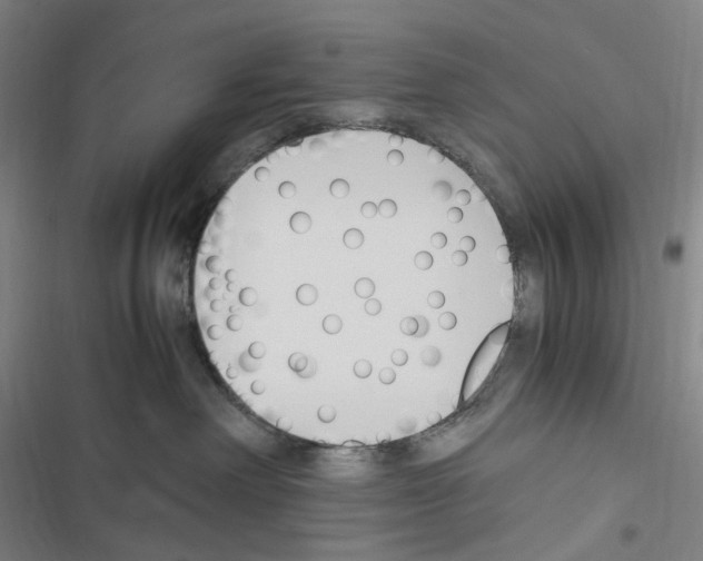 X0000116680238201001251306