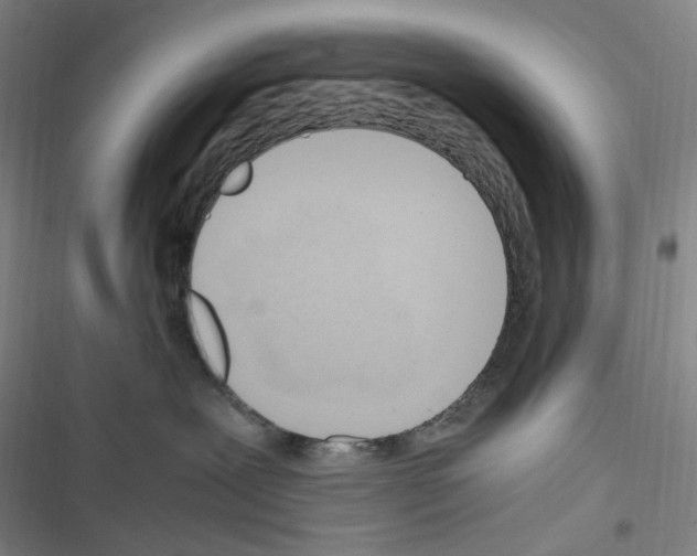 X0000116680239201001251306