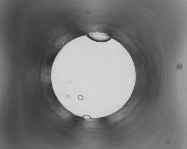 X0000116680240201001251306