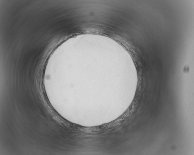 X0000116680241201001251306