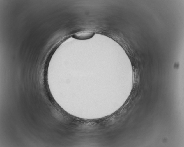 X0000116680243201001251306