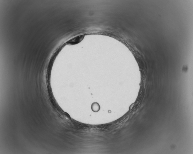 X0000116680244201001251306