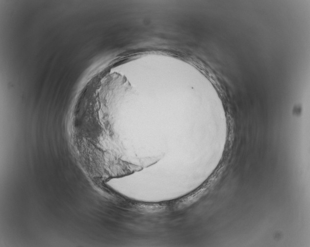 X0000116680245201001251306