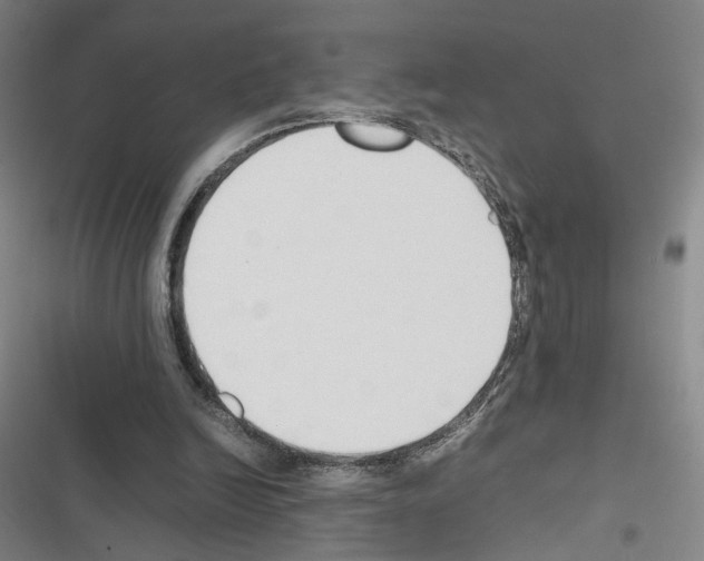 X0000116680246201001251306