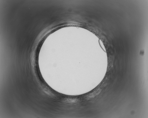 X0000116680247201001251306