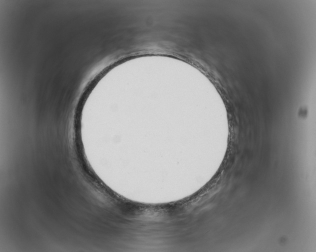 X0000116680248201001251306