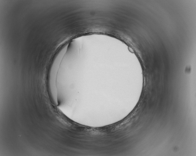 X0000116680249201001251306