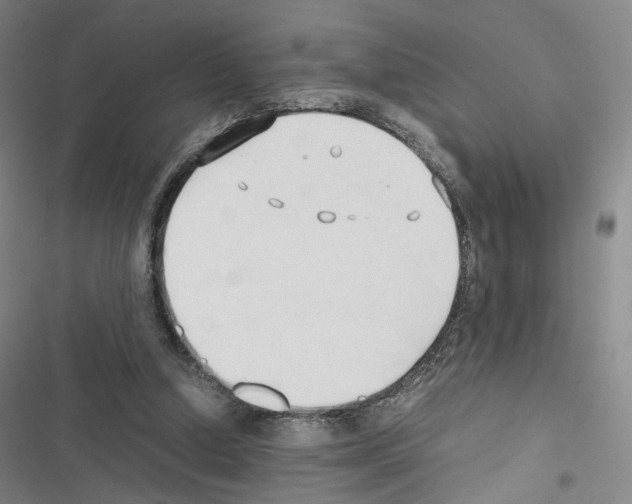 X0000116680250201001251306