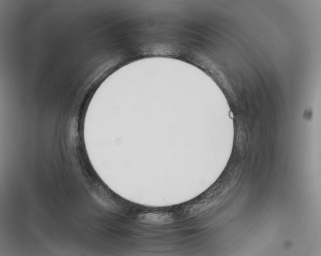 X0000116680251201001251306