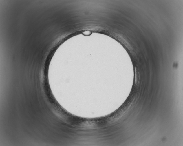 X0000116680252201001251306