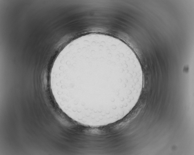 X0000116680253201001251306